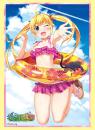 Bushiroad Sleeve Collection High Grade Vol.2359 The Fruit of Grisaia "Michiru Matsushima" Part.2