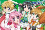 Bushiroad Rubber Mat Collection Vol.28 “Dog Days“